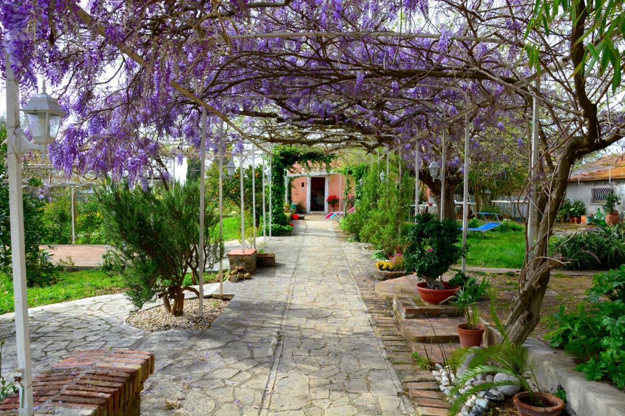 Casale Del Gelso Villa Genzano di Roma Ngoại thất bức ảnh