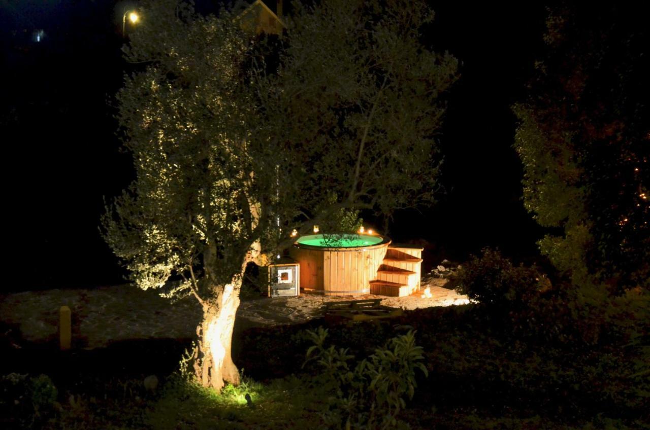 Casale Del Gelso Villa Genzano di Roma Ngoại thất bức ảnh