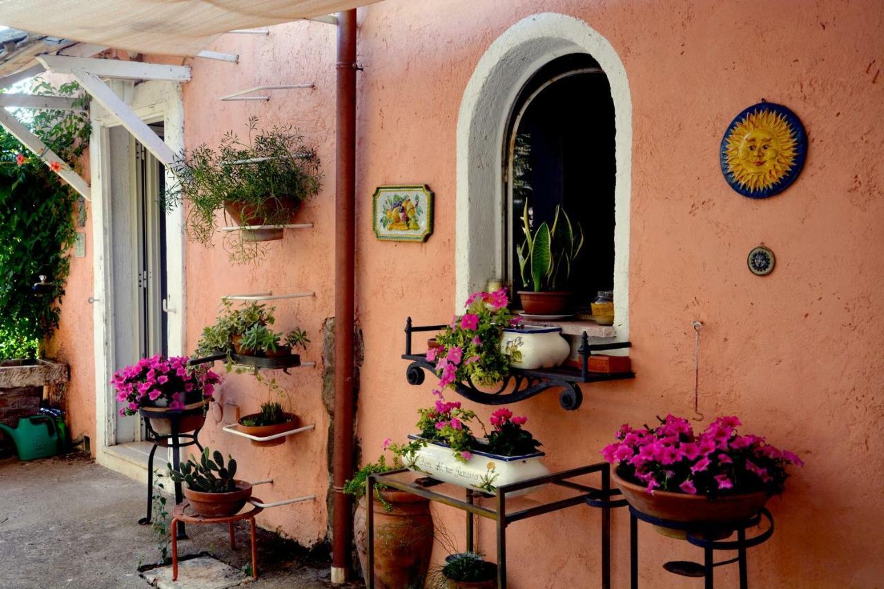 Casale Del Gelso Villa Genzano di Roma Ngoại thất bức ảnh