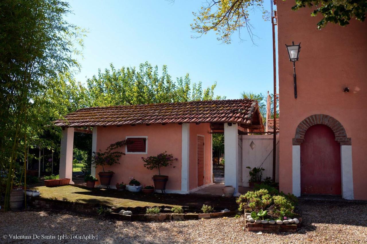 Casale Del Gelso Villa Genzano di Roma Ngoại thất bức ảnh